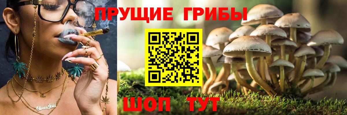 Усолье-Сибирское  Псилоцибиновые грибы мухоморы  Вход с VPN 